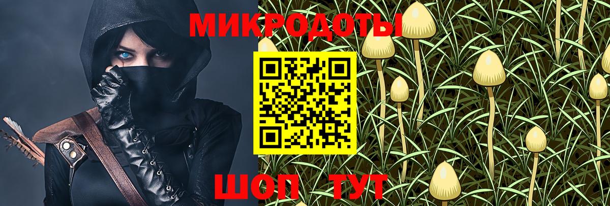 Галлюциногенные грибы прущие грибы  Вход с VPN  Елабуга  Галлюциногенные грибы Cubensis 