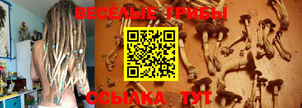 Галлюциногенные грибы ЛСД Елабуга